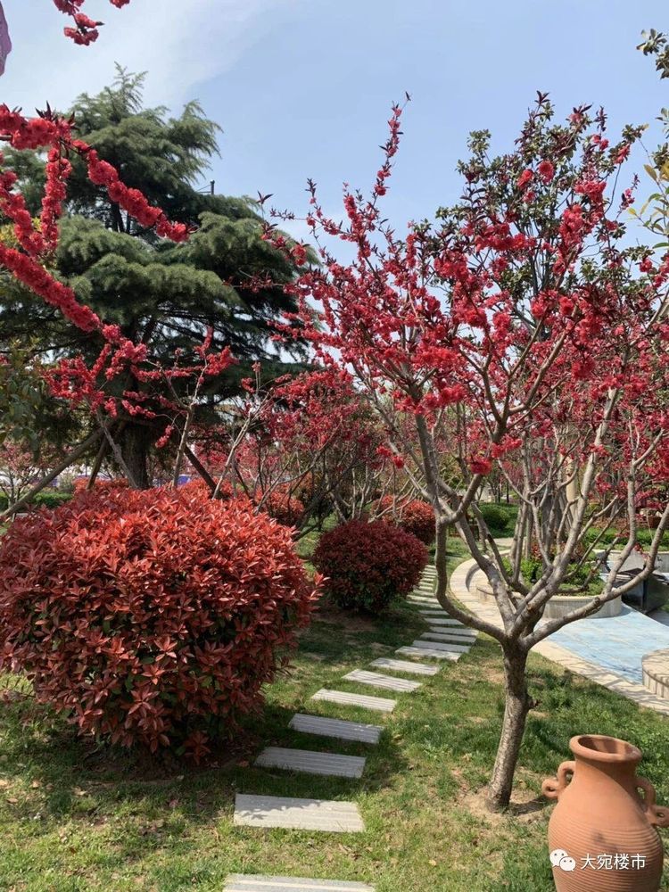 微信图片_20191118172403.jpg